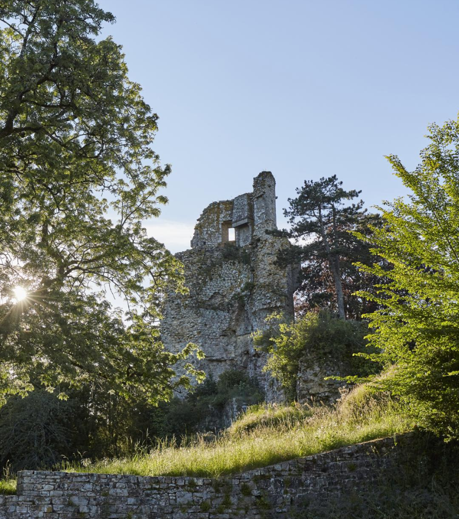 Ruines du château de Saint-Aubin-du-Cormier entourées d’arbres